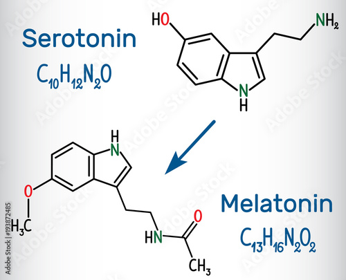 Serotonin and melatonin molecule, hormone of happiness and sleep hormone. Structural chemical formula