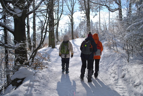 Turyści w zimowym lesie