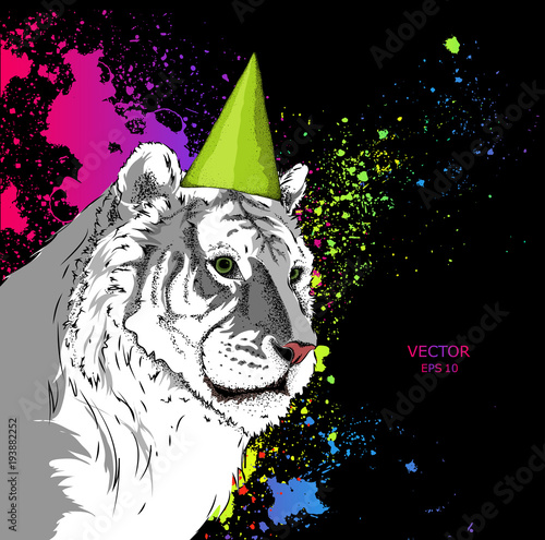 Fototapeta Naklejka Na Ścianę i Meble -  Hipster TIGER in Happy Birthday's cap. Vector illustration