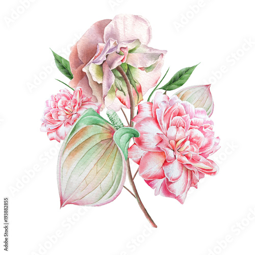 Watercolor bouquet with flowers. Rose. Anthurium. Illustration. Hand drawn.