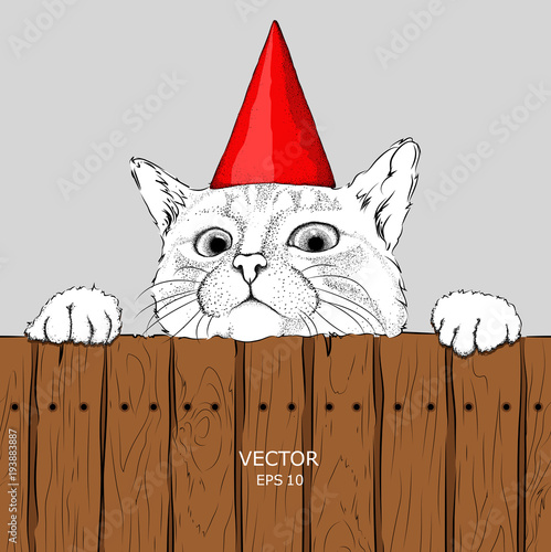 Hipster cat in Happy Birthday's cap. Vector illustration