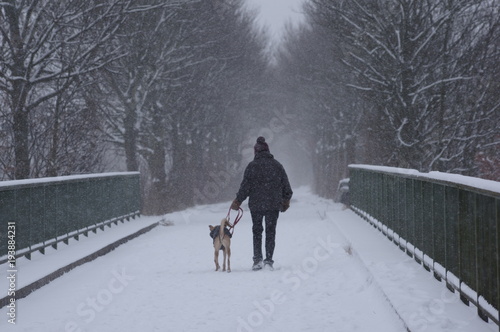 Man walking with his dog on the bridge