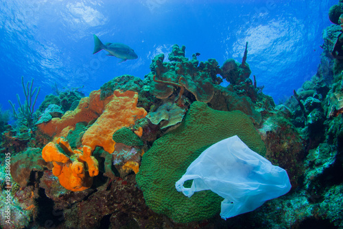 trash that has been dumped into the ocean has found its way onto the reef where it will damage delicate marine life. This kind of pollution adds to climate change