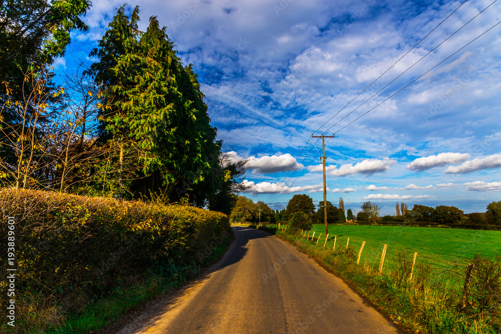 English country road on a sunny day, lush green vegetation