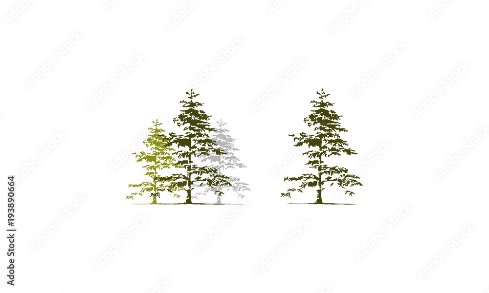 Cedar Tree Template Set Stock Vector | Adobe Stock