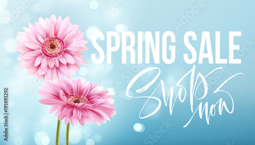 Pink gerbera daisies on a blue bokeh background. Spring sale lettering. Vector illustration