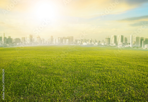 land scape wide green grass field and modern building of urban skyscraper use as cityscape background