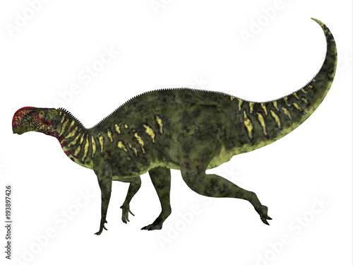 Altirhinus Dinosaur Side Profile - Altirhinus was an iguanodont herbivore dinosaur from the Cretaceous Period of Mongolia.