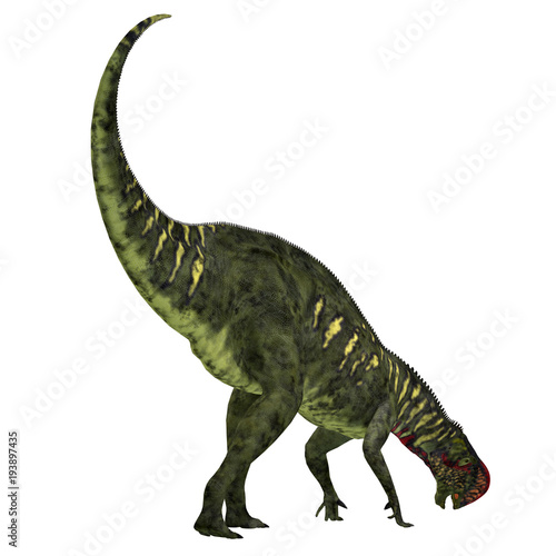 Altirhinus Dinosaur Tail - Altirhinus was an iguanodont herbivore dinosaur from the Cretaceous Period of Mongolia.