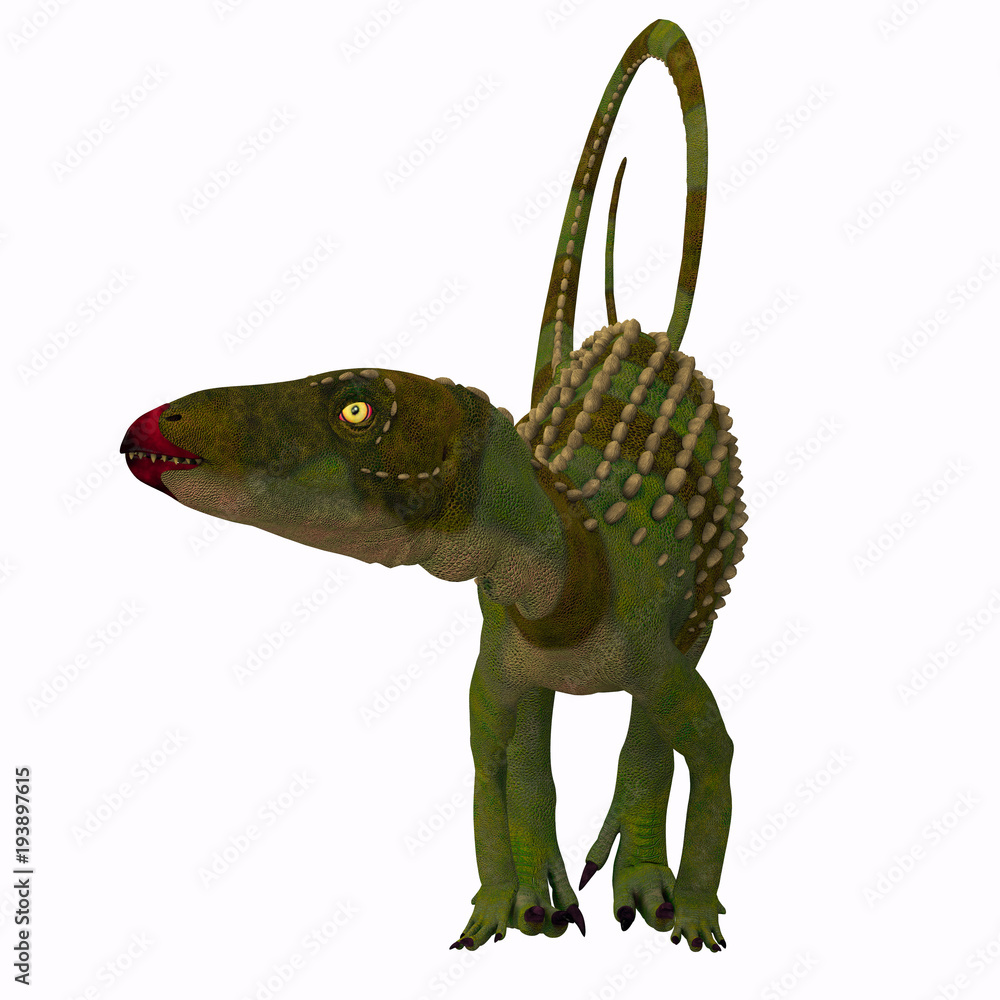Naklejka premium Scutellosaurus Dinosaur on White - Scutellosaurus was an armored herbivore dinosaur that lived in Arizona, USA during the Jurassic Period.
