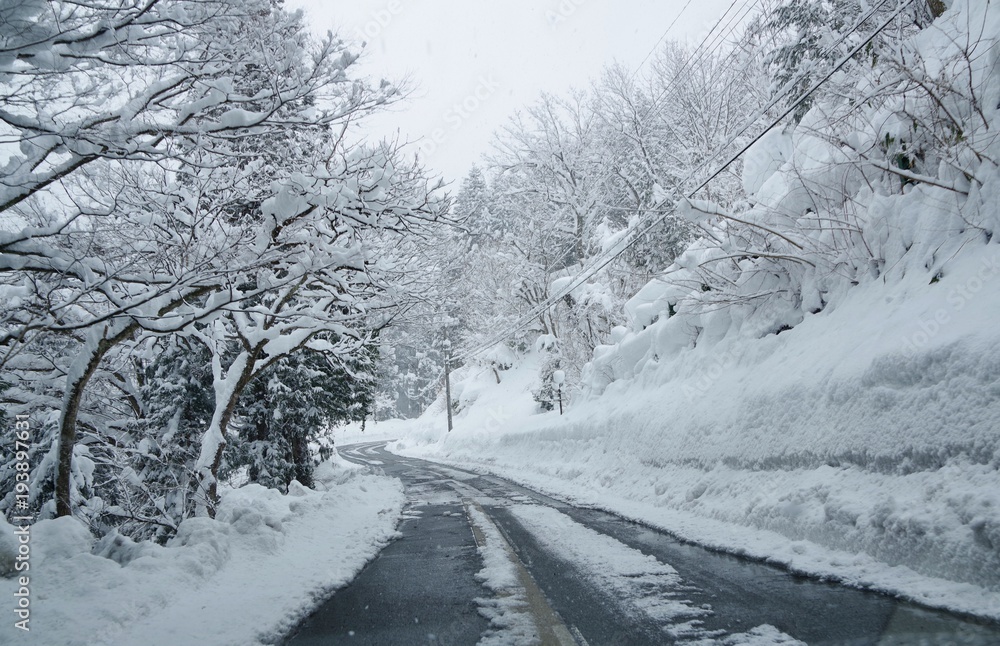 雪で真っ白な道路 雪で真っ白な道路
