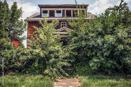 Fire damaged abandoned house overgrown with trees and bushes