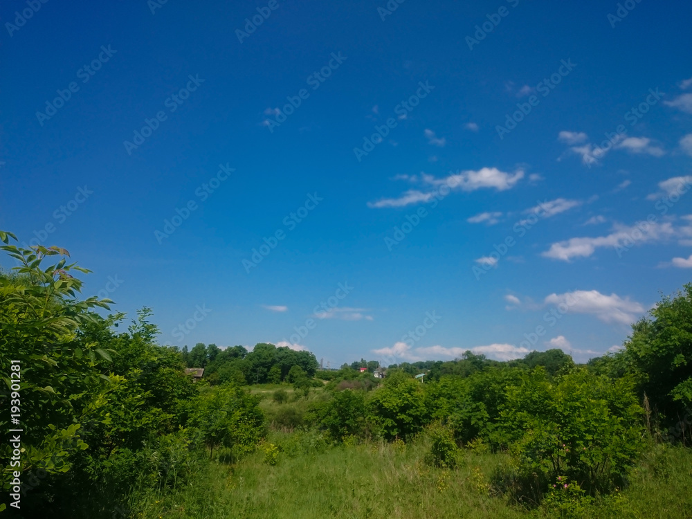 a summer green landscape on the blue sky background on a bright sunny day