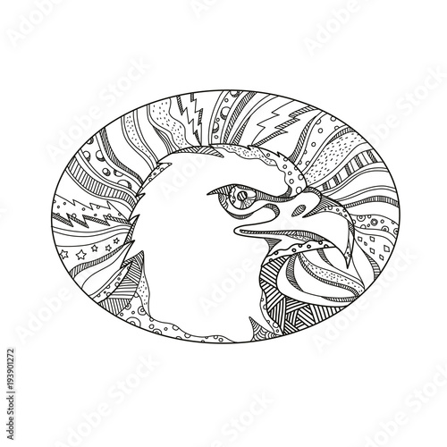 Doodle art illustration of head of bald eagle or sea eagle, bird of prey found in North America side view set inside oval in black and white done in mandala style.