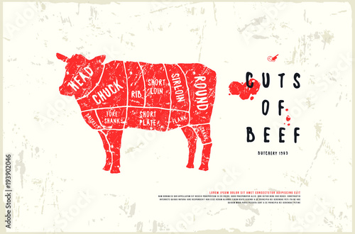 Stock vector beef cuts diagram