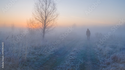 a hunter with a gun goes on the hunt in the misty morning. fog over the field at dawn