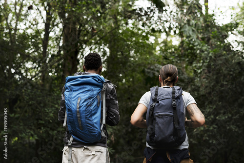 Trekking in a forest