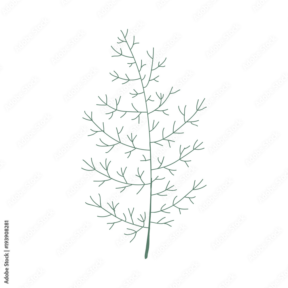 Illustration of tree Illustration of tree