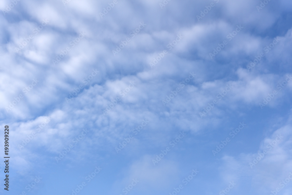 Fototapeta premium High white wispy cirrus clouds with cirro-stratus in the blue Australian sky sometimes called mare's tails indicate fine weather now but stormy changes coming within a