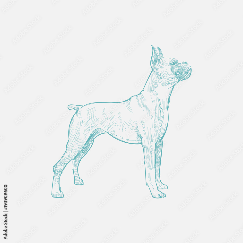 Obraz premium individual1