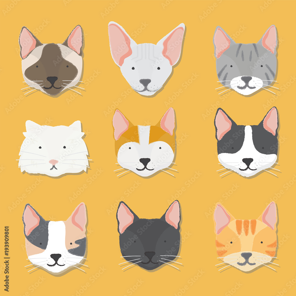 Illustration of cat faces
