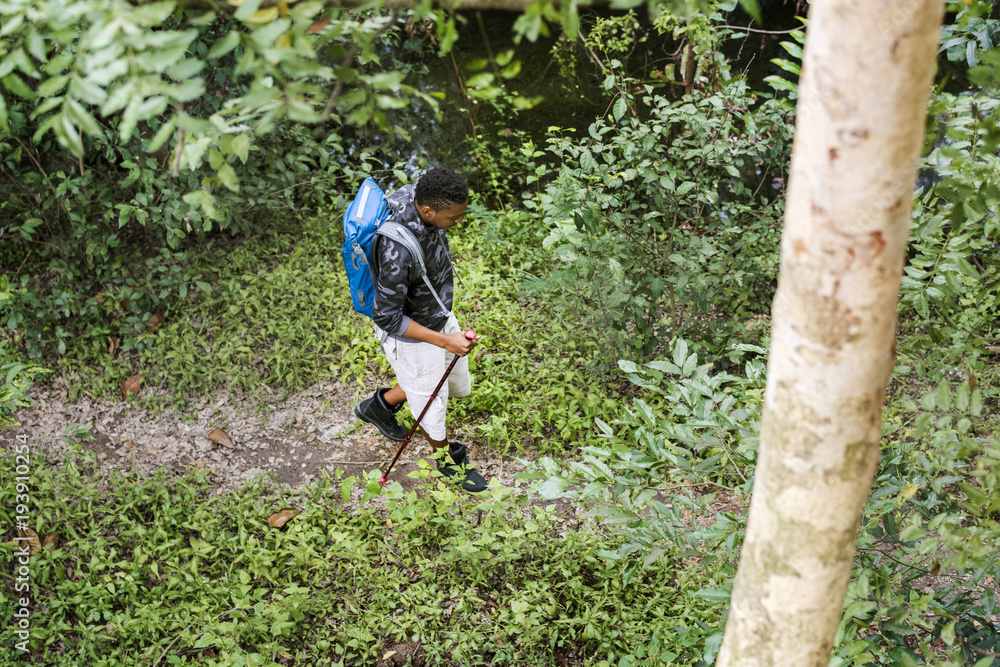 Obraz premium Trekking in a forest