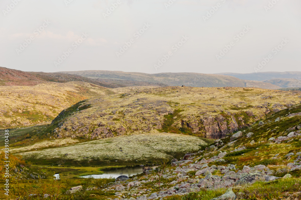 Tundra landscape. Kola Peninsula, Murmansk region, Russia Tundra landscape. Kola Peninsula, Murmansk region, Russia