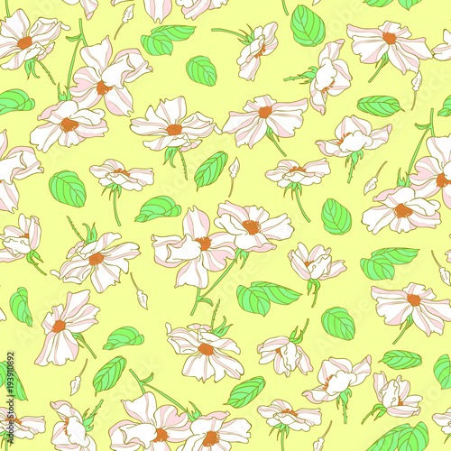 Wallpaper Mural In Chinese art, this Chinese rose represents a love supreme. Torontodigital.ca