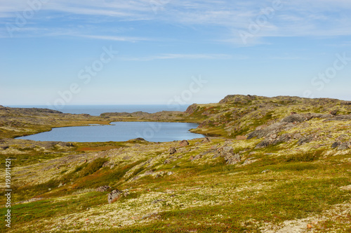 Shore of the Barents Sea. Tundra landscape. Kola Peninsula, Murmansk region, Russia