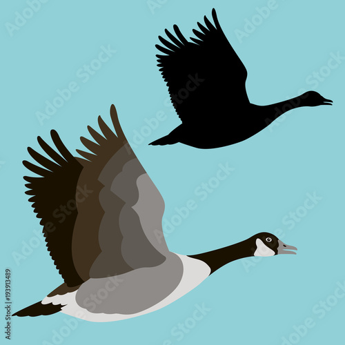 goose vector illustration flat style profile side