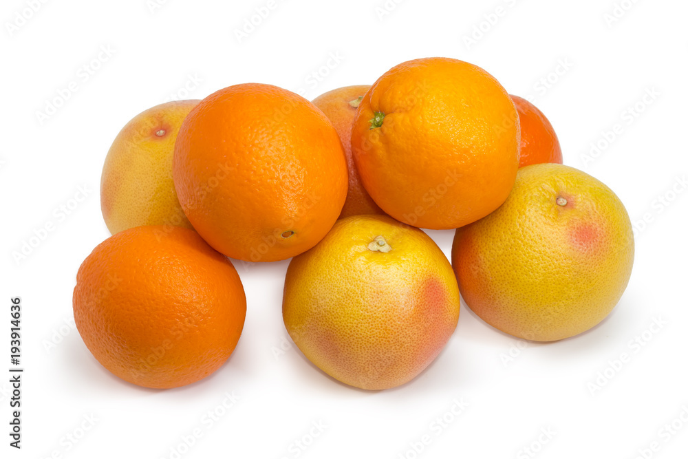 Several red grapefruits and oranges on a white background Several red grapefruits and oranges on a white background