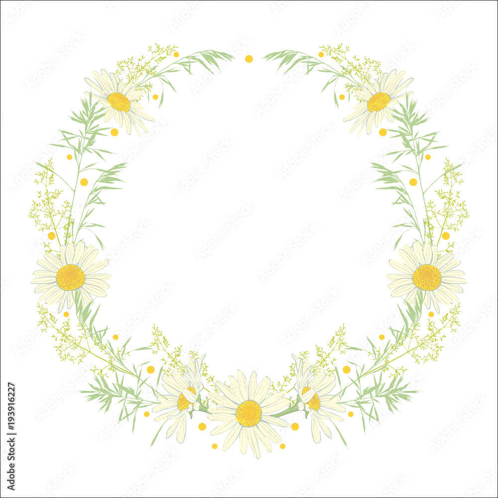 Hand drawn wreath with camomile and herbs.
