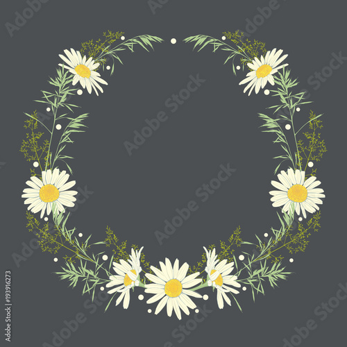 Hand drawn wreath with camomile and herbs.