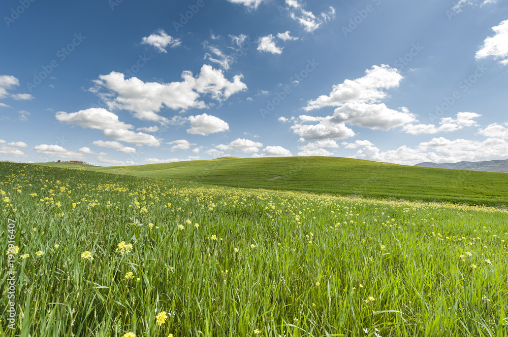 Fields, pastures and farmhouse Fields, pastures and farmhouse