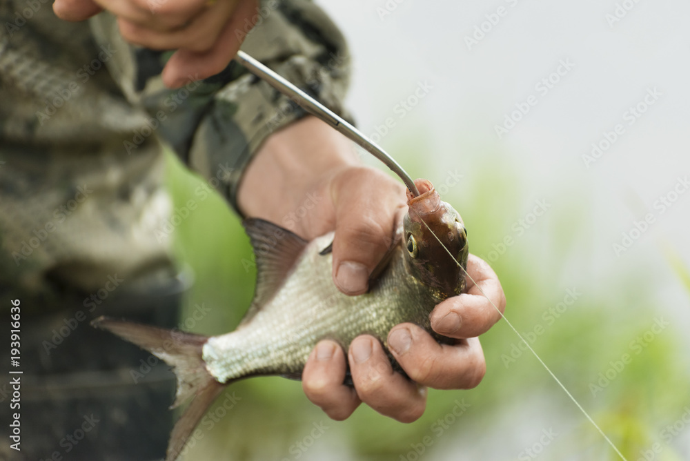 The fisherman is removing a fishing hook from the mouth of the fish. The  removal process
