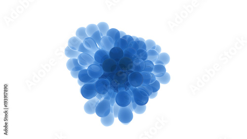 Photography microorganisms