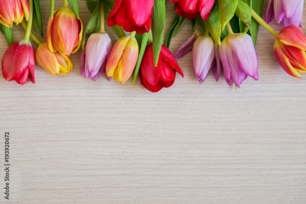 bouquet of colorful tulips on a light wooden background, a layout for your text