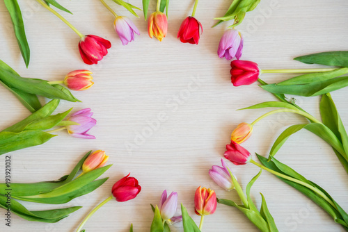 circle of multicolored tulips on light wooden background, mock up for your text Top view