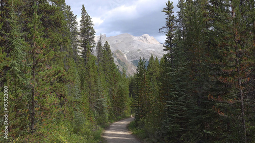 Jasper National Park, Alberta, Canada