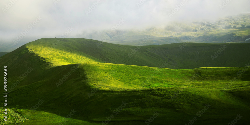 Fototapeta premium green landscape and light