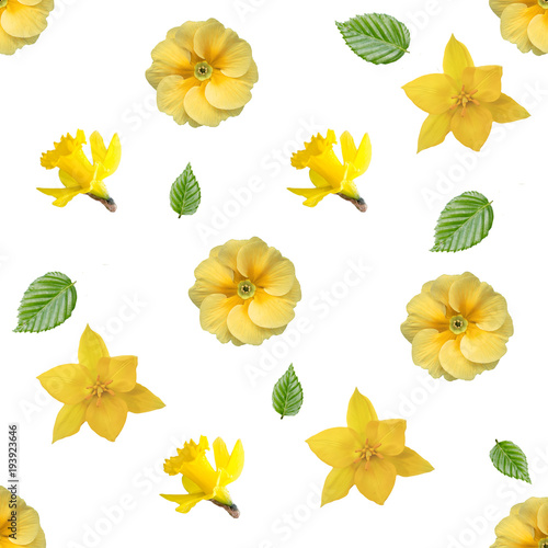 spring flowers seamless background pattern: primrose, daffodil, Tulip