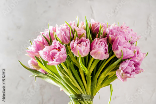 pink tulips