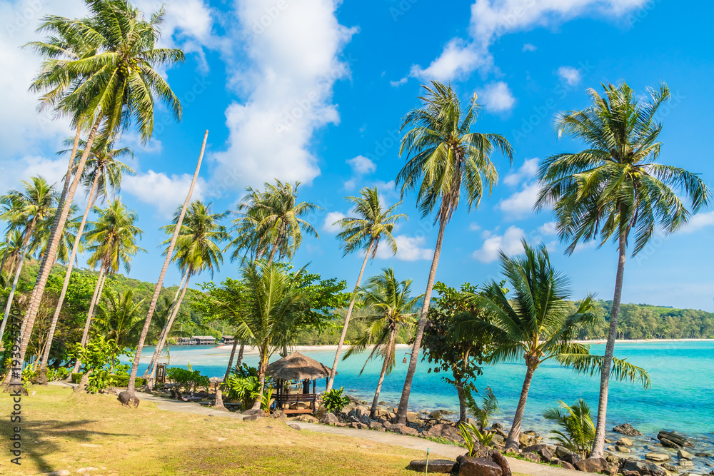 Coconut palm tree on the beach and sea Coconut palm tree on the beach and sea