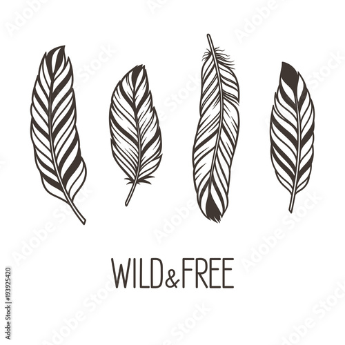 Set of hand drawn stylized bird feathers