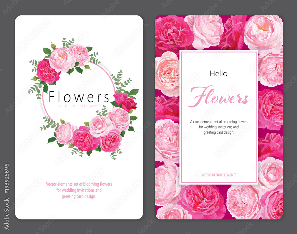 Beautiful pink roses flower background template. Vector set of blooming floral for wedding invitations and greeting card design. 