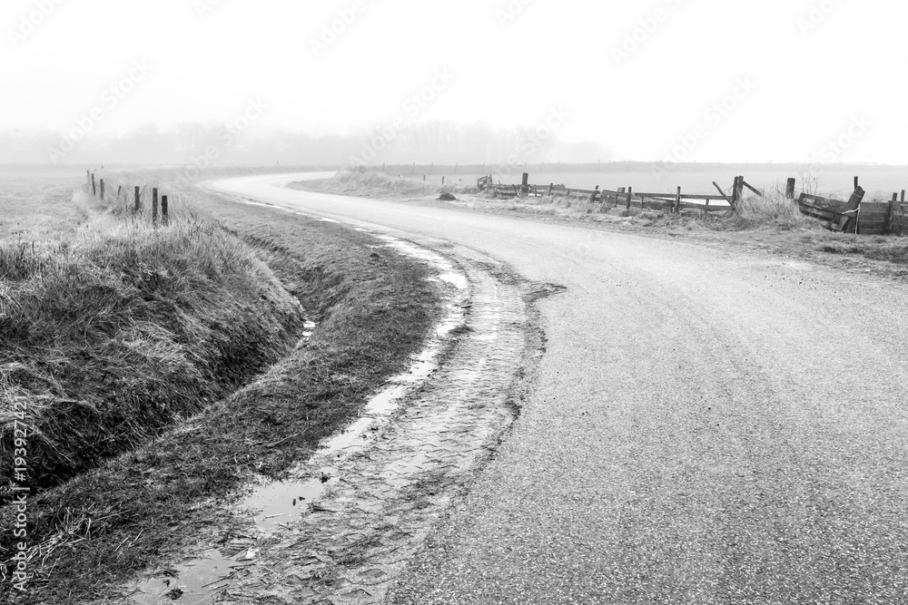 Naklejka premium Empty country road in the fog. The Netherlands.Texel Island. Black and white image.