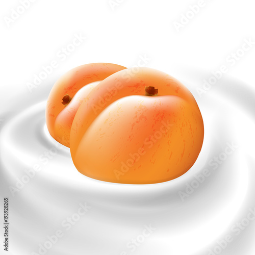 peach or apricot floating in whipped cream or yogurt wave pure vector illustration for milk products and beverage design high quality art