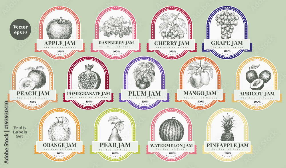 Berry and fruit labels set. Vintage style design template. Hand drawn vector illustrations.