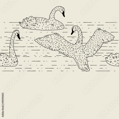 Seamless pattern with floating white swans. Hand drawn birds