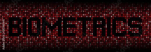 Wallpaper Mural Biometrics text on hex code illustration Torontodigital.ca